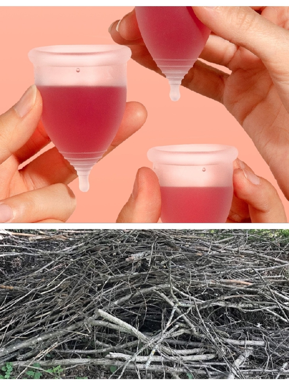 DIVA CUPS (OR) STICKS FROM THE YARD?? YOU DECIDE!!